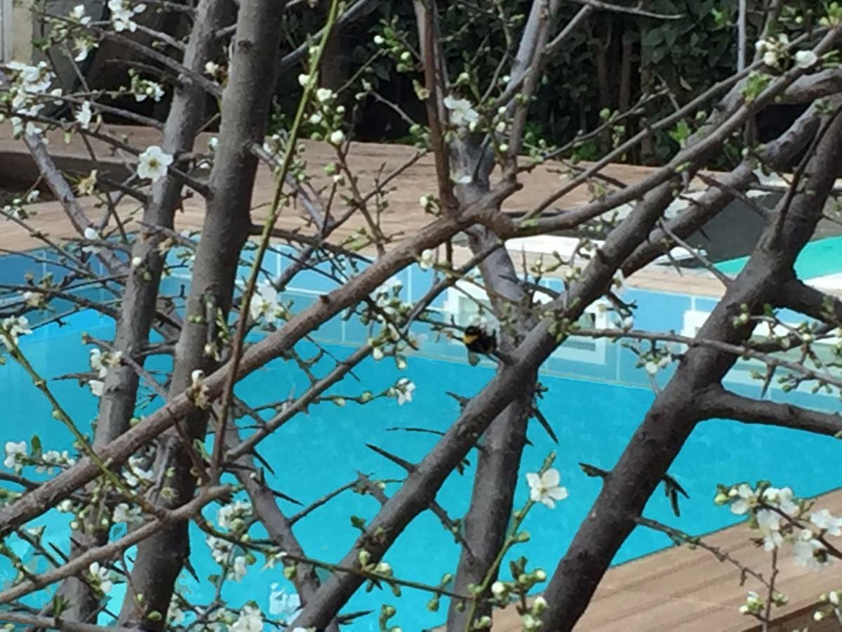 Sunny Rhodes Villa Koskinou  Eksteriør bilde