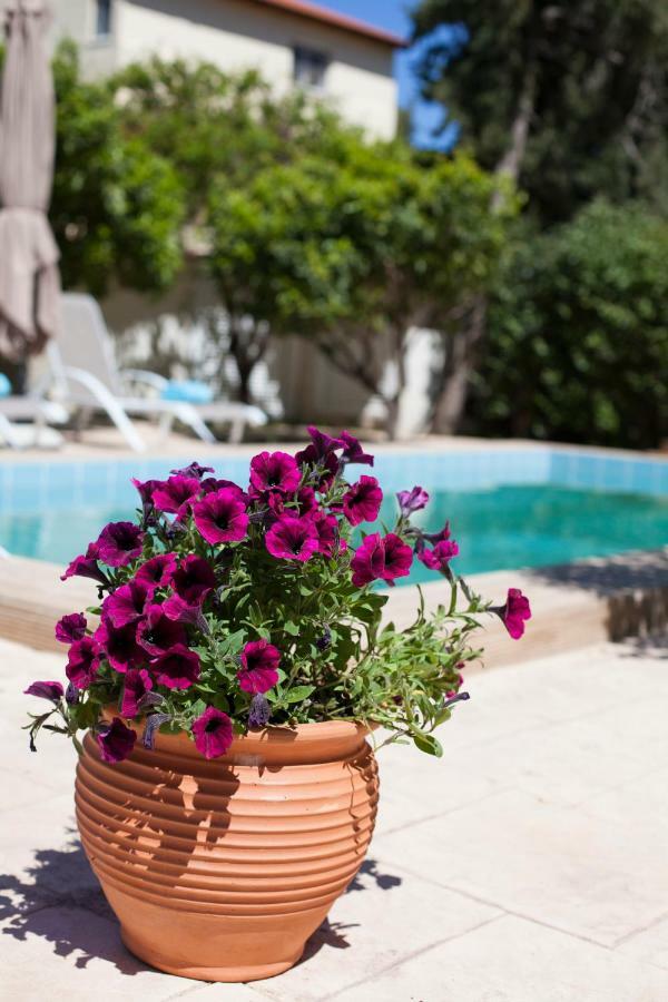 Sunny Rhodes Villa Koskinou  Eksteriør bilde