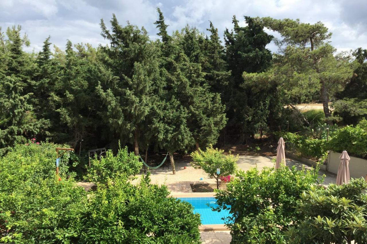 Sunny Rhodes Villa Koskinou  Eksteriør bilde